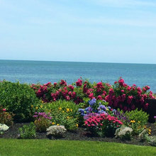 Gardens/landscape