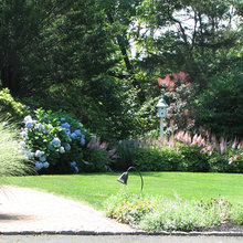 Front yard landscaping