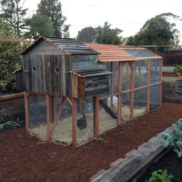 Awesome Chicken Coops