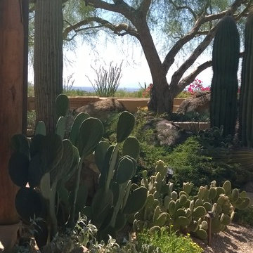 North Scottsdale Residence