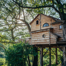 Tree house