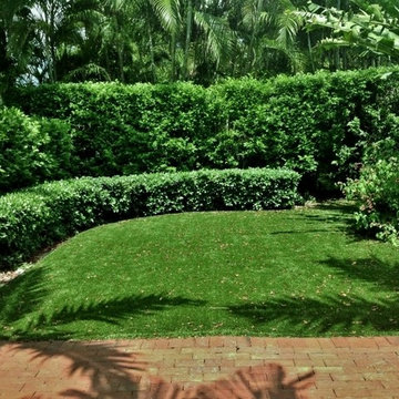 Landscaping