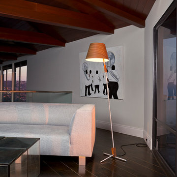 Fas 1 Light LED Floor Lamp in Living Room