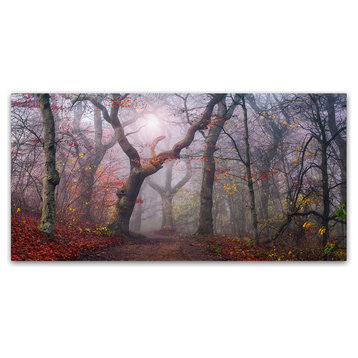 Leif Londal 'Walking The Old Path' Canvas Art, 19 x 10