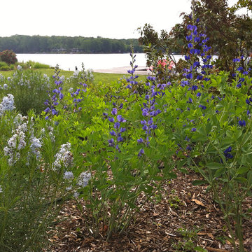 Lake near Fredericksburg, VA: Plant&Sustain for Clean Water