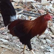 Lenora Taylor's photo