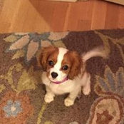 Kippy Kennedy's photo