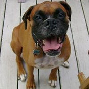 Celia N Jack Gaydos's photo