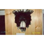 Ona Hagreen's photo