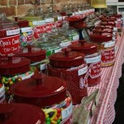 Whitney Webb's photo