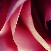 Fatma Ali's photo