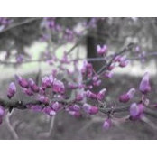 Tina Tilman's photo