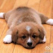 Mei Fun's photo