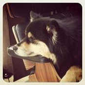 Pia Reynolds's photo