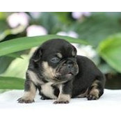 Nicole Krell's photo