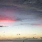 Diana Morris's photo