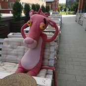 Foto von Serg Lu