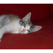 Jackie O'Brien's photo