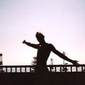 Lee Barr's photo