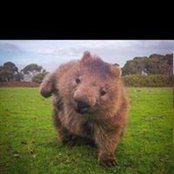 Sam Mantzarapis's photo