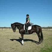 Molly Bachert's photo