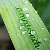 Catherine Roe's photo