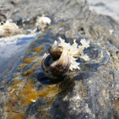 Tulasi Meduri's photo