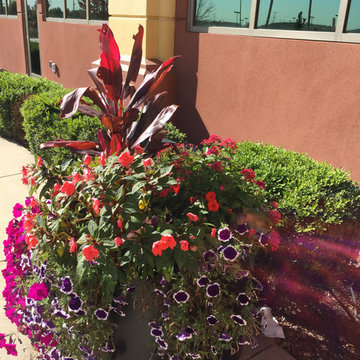 Landscaping