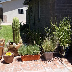 Custom Container Plantings - Products