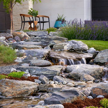 Contemporary Conservation