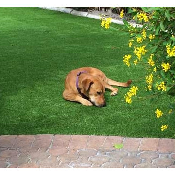 Synthetic Lawns of Florida Projects