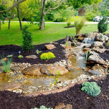 Backyard Ideas
