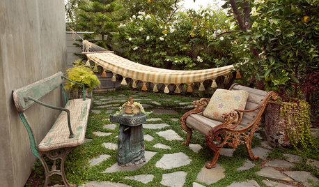 Giardino Laterale Stretto: Come Farlo Rinascere Con le Piante