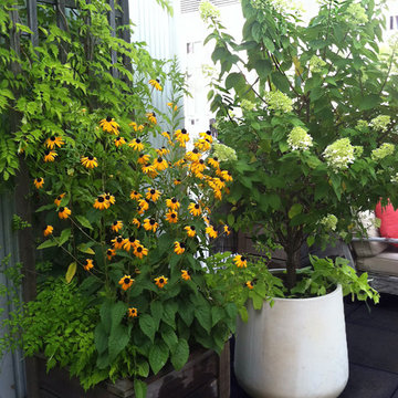 Midtown Office Rooftop