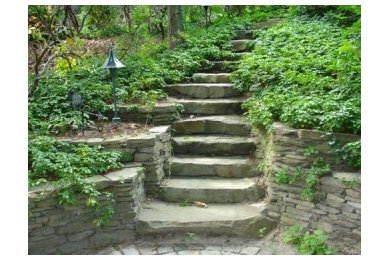 stone steps and paths