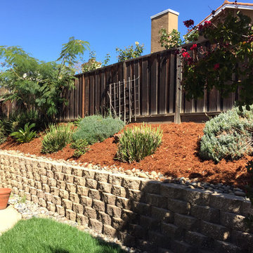 Landscape Projects