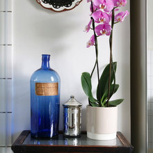 Vignettes