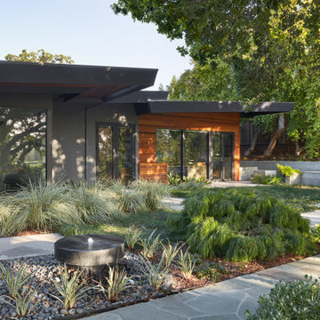 Los Gatos Garden