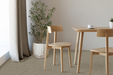 Example of a minimalist dining room design in Other
