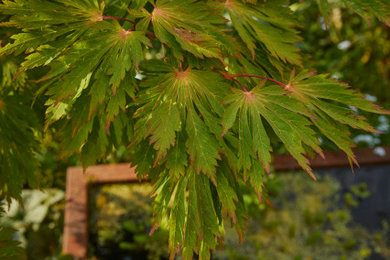 Inspiration for a scandi garden in London.