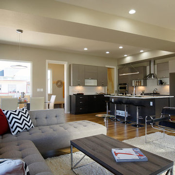 Longmont - Contemporary Single Family Homes - Prospect New Town