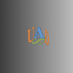 Unique Architectural Design Services