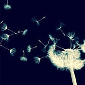 Muriel Zadek's photo