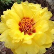 Kimberly Tyser's photo