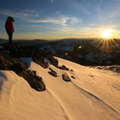 Shauna Brodie's photo