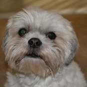 Barbara Wilding's photo