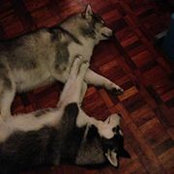 Kay Chi's photo
