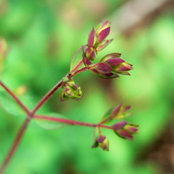 Jane Pellicciotto's photo