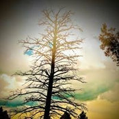 Barbara Martin's photo
