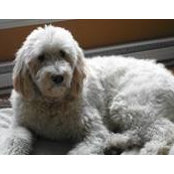 Sue Blais's photo